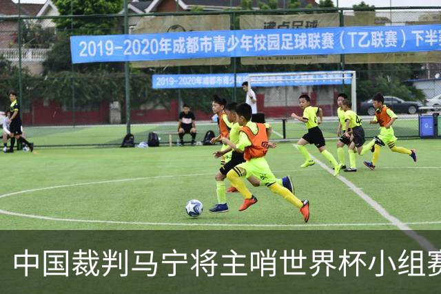 中国裁判马宁将主哨世界杯小组赛第二轮比赛